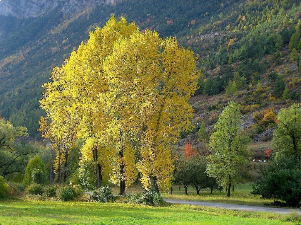 Chambres D'Hotes La Pierre D'Oran LʼArgentière-la-Bessée Bagian luar foto